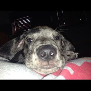 Meet your Posher, Jenna